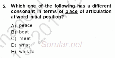 Dilbilim 1 2013 - 2014 Ara Sınavı 5.Soru