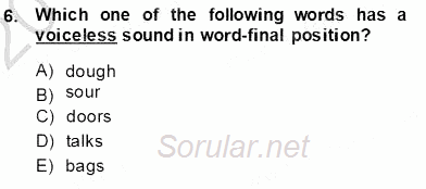 Dilbilim 1 2013 - 2014 Ara Sınavı 6.Soru