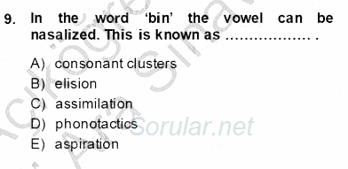 Dilbilim 1 2013 - 2014 Ara Sınavı 9.Soru