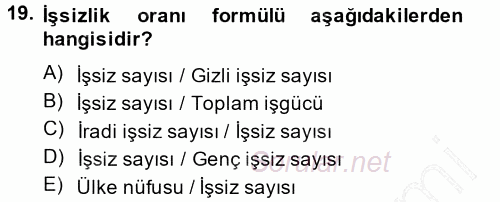 İstihdam ve İşsizlik 2014 - 2015 Ara Sınavı 19.Soru