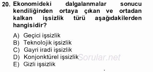 İstihdam ve İşsizlik 2014 - 2015 Ara Sınavı 20.Soru