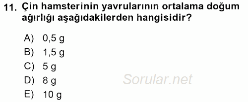 Laboratuvar Hayvanlarını Yetiştirme ve Sağlığı 2015 - 2016 Dönem Sonu Sınavı 11.Soru