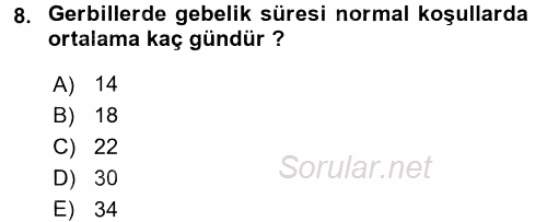 Laboratuvar Hayvanlarını Yetiştirme ve Sağlığı 2015 - 2016 Dönem Sonu Sınavı 8.Soru