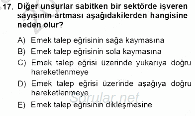 Çalışma Ekonomisi 1 2012 - 2013 Ara Sınavı 17.Soru