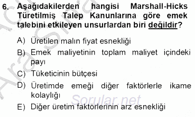 Çalışma Ekonomisi 1 2012 - 2013 Ara Sınavı 6.Soru
