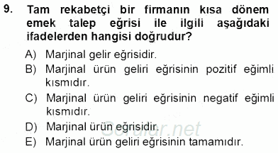 Çalışma Ekonomisi 1 2012 - 2013 Ara Sınavı 9.Soru