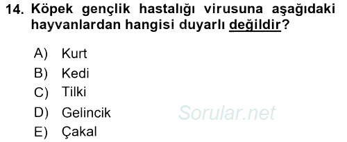 Viroloji 2016 - 2017 Dönem Sonu Sınavı 14.Soru