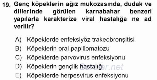 Viroloji 2016 - 2017 Dönem Sonu Sınavı 19.Soru