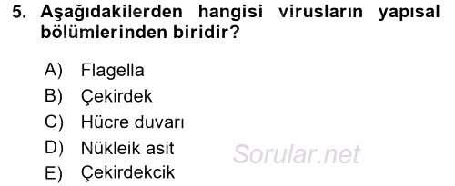 Viroloji 2016 - 2017 Dönem Sonu Sınavı 5.Soru