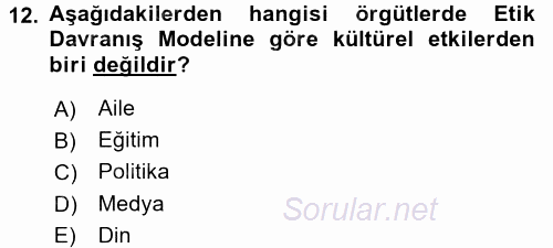 Organizasyonlarda Davranış 2016 - 2017 Dönem Sonu Sınavı 12.Soru