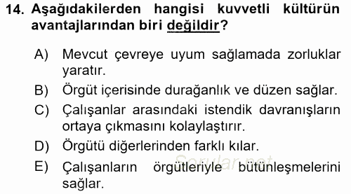 Organizasyonlarda Davranış 2016 - 2017 Dönem Sonu Sınavı 14.Soru