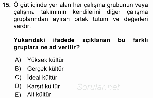 Organizasyonlarda Davranış 2016 - 2017 Dönem Sonu Sınavı 15.Soru