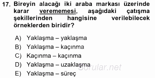 Organizasyonlarda Davranış 2016 - 2017 Dönem Sonu Sınavı 17.Soru