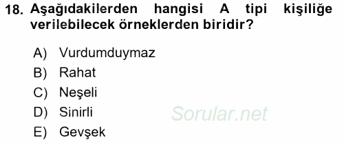 Organizasyonlarda Davranış 2016 - 2017 Dönem Sonu Sınavı 18.Soru