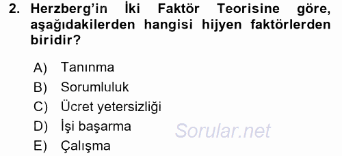 Organizasyonlarda Davranış 2016 - 2017 Dönem Sonu Sınavı 2.Soru