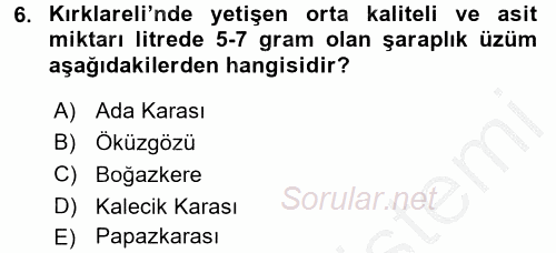 İçecek Bilgisi 2016 - 2017 3 Ders Sınavı 6.Soru