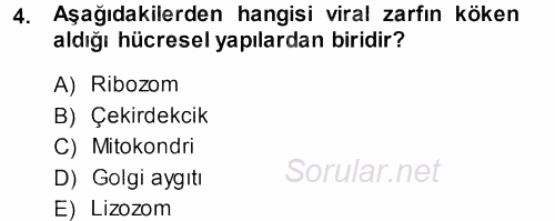 Viroloji 2013 - 2014 Ara Sınavı 4.Soru