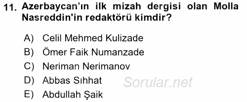 XIX. Yüzyıl Türk Dünyası 2016 - 2017 Dönem Sonu Sınavı 11.Soru