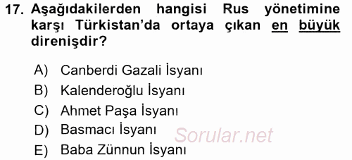 XIX. Yüzyıl Türk Dünyası 2016 - 2017 Dönem Sonu Sınavı 17.Soru