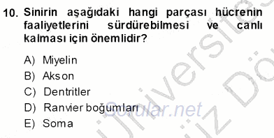 Çocuk Ruh Sağlığı 2013 - 2014 Ara Sınavı 10.Soru