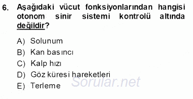 Çocuk Ruh Sağlığı 2013 - 2014 Ara Sınavı 6.Soru