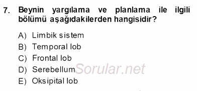 Çocuk Ruh Sağlığı 2013 - 2014 Ara Sınavı 7.Soru