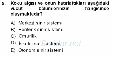 Çocuk Ruh Sağlığı 2013 - 2014 Ara Sınavı 9.Soru