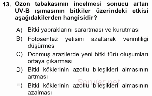 Çevre Sorunları ve Politikaları 2015 - 2016 Ara Sınavı 13.Soru