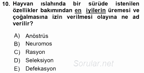 Hayvan Davranışları ve Refahı 2015 - 2016 Dönem Sonu Sınavı 10.Soru