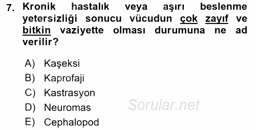 Hayvan Davranışları ve Refahı 2015 - 2016 Dönem Sonu Sınavı 7.Soru