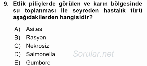 Hayvan Davranışları ve Refahı 2015 - 2016 Dönem Sonu Sınavı 9.Soru