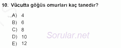 Tıbbi Terminoloji 2015 - 2016 Dönem Sonu Sınavı 10.Soru