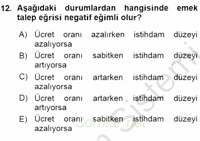 Çalışma Ekonomisi 1 2015 - 2016 Ara Sınavı 12.Soru