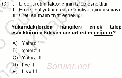 Çalışma Ekonomisi 1 2015 - 2016 Ara Sınavı 13.Soru