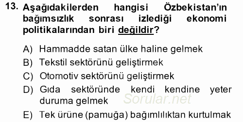 Çağdaş Türk Dünyası 2014 - 2015 Tek Ders Sınavı 13.Soru