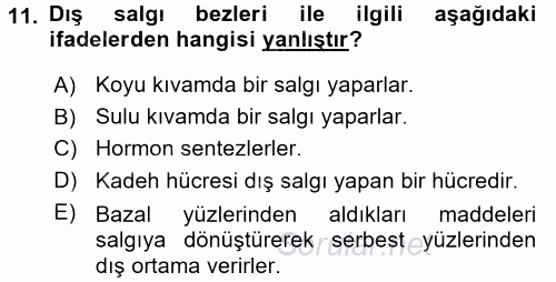 Temel Veteriner Histoloji ve Embriyoloji 2017 - 2018 Ara Sınavı 11.Soru