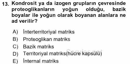 Temel Veteriner Histoloji ve Embriyoloji 2017 - 2018 Ara Sınavı 13.Soru