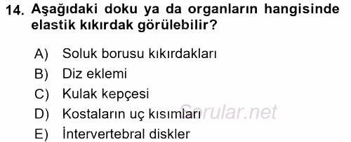 Temel Veteriner Histoloji ve Embriyoloji 2017 - 2018 Ara Sınavı 14.Soru