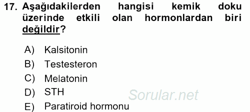 Temel Veteriner Histoloji ve Embriyoloji 2017 - 2018 Ara Sınavı 17.Soru