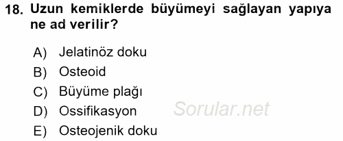 Temel Veteriner Histoloji ve Embriyoloji 2017 - 2018 Ara Sınavı 18.Soru