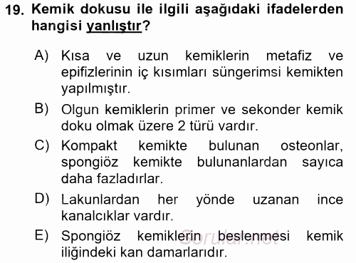 Temel Veteriner Histoloji ve Embriyoloji 2017 - 2018 Ara Sınavı 19.Soru