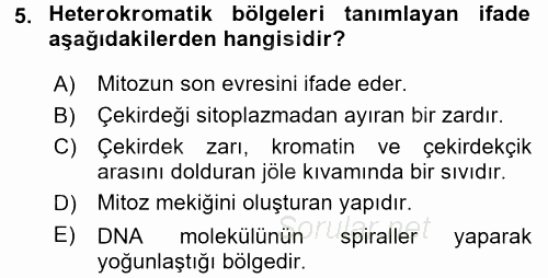 Temel Veteriner Histoloji ve Embriyoloji 2017 - 2018 Ara Sınavı 5.Soru