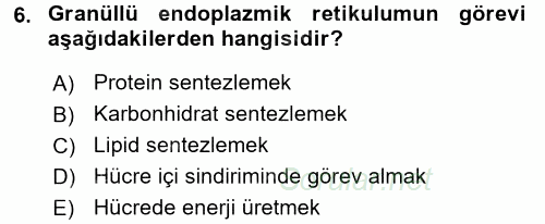 Temel Veteriner Histoloji ve Embriyoloji 2017 - 2018 Ara Sınavı 6.Soru