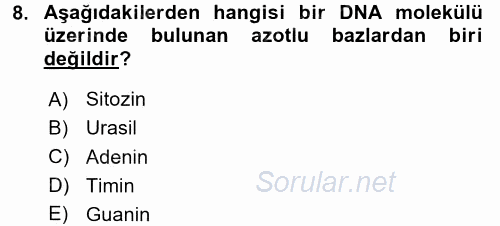Temel Veteriner Histoloji ve Embriyoloji 2017 - 2018 Ara Sınavı 8.Soru