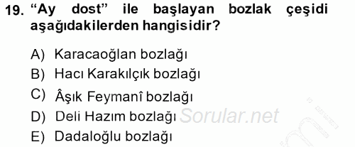Halk Hikayeleri 2014 - 2015 Ara Sınavı 19.Soru